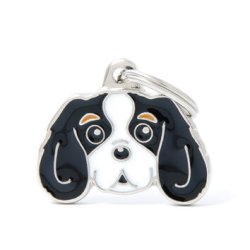 Medaglietta Cane Cavalier King Tricolore 2017