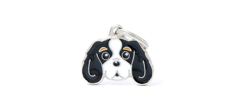 Medaglietta Cane Cavalier King Tricolore 2017