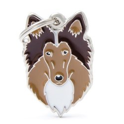 Medaglietta Cane Collie 2017