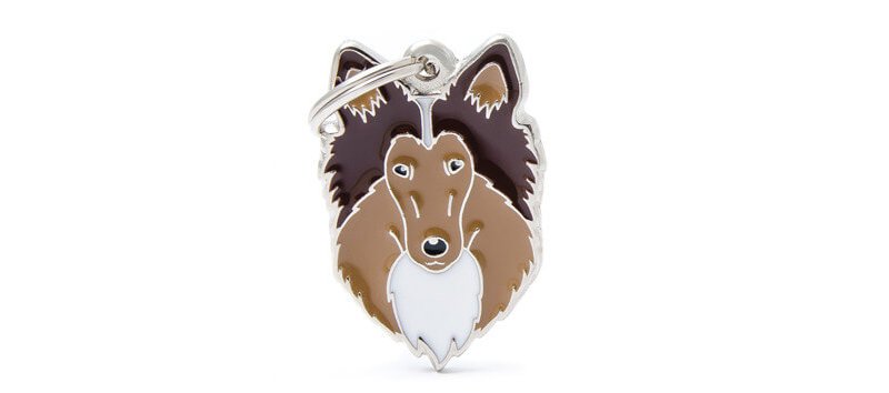 Medaglietta Cane Collie 2017