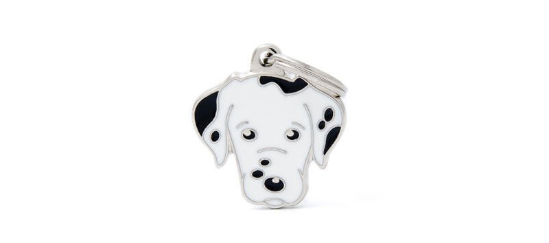 Medaglietta Cane Dalmata 2017