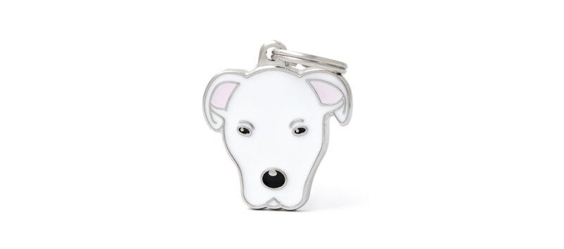Medaglietta Cane dogo Argentino 2017