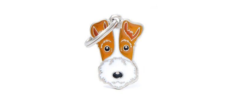Medaglietta Cane Fox Terrier 2017
