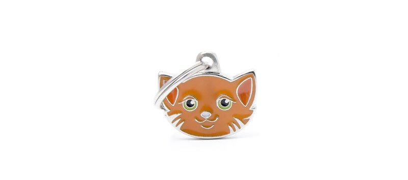 Medaglietta Gatto Europeo Rosso 2017