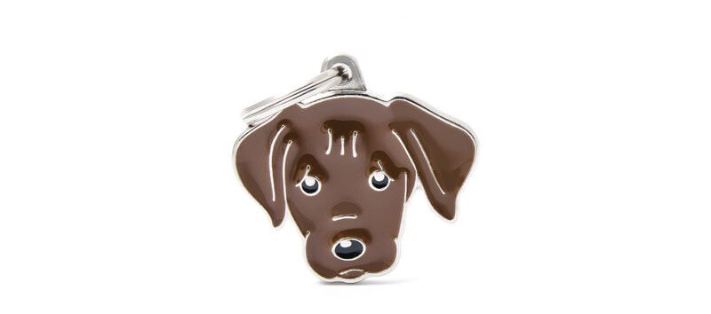 Medaglietta Cane Labrador Cioccolato 2017