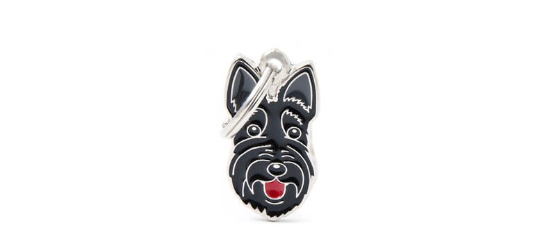 Medaglietta Cane Scottish Terrier 2017