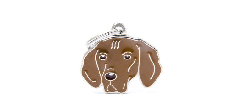Medaglietta Cane Vizsla 2017