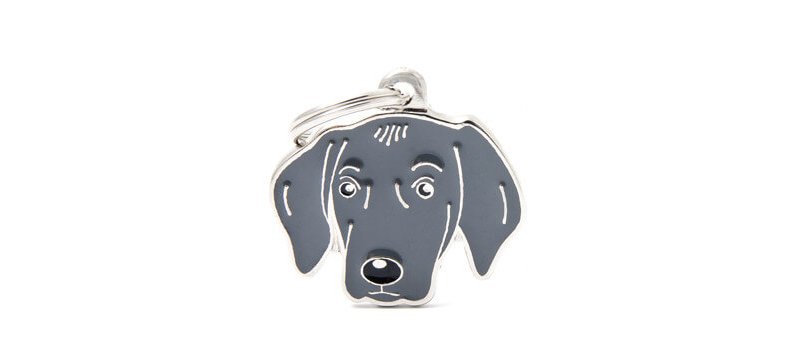 Medaglietta Cane Weimaraner 2017