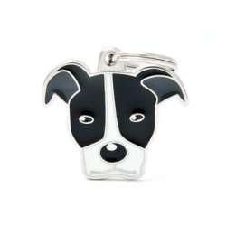 Medaglietta Cane Pitbull 2017