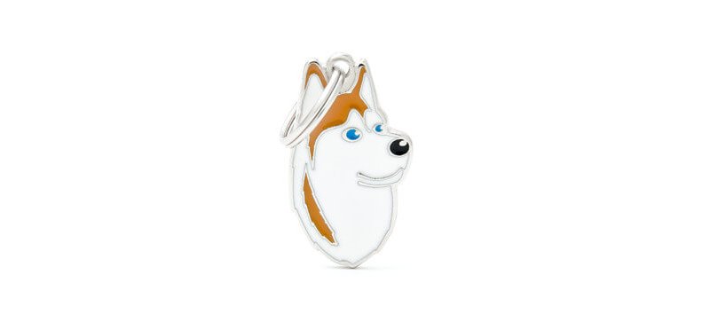 Medaglietta Cane Husky Siberiano B&O 2017