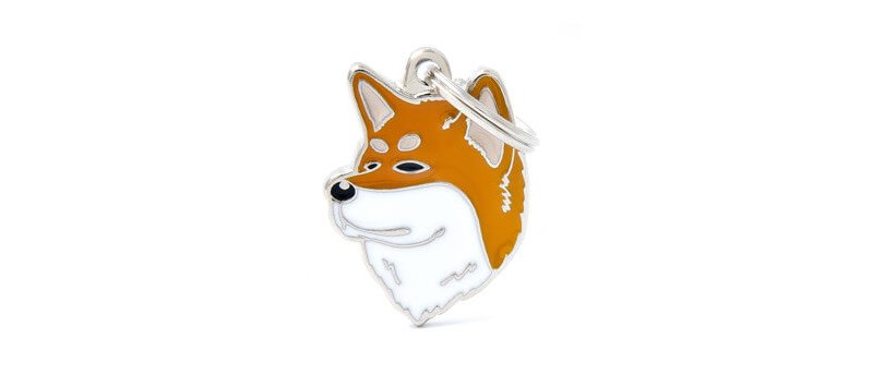 CANE AKITA INU 2017