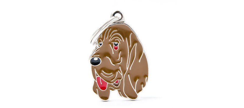 Medaglietta Cane Bloodhound 2017