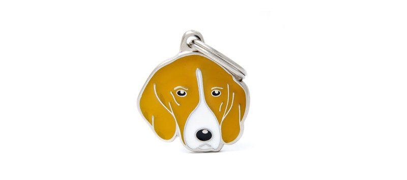 Medaglietta Cane Foxhound 2017