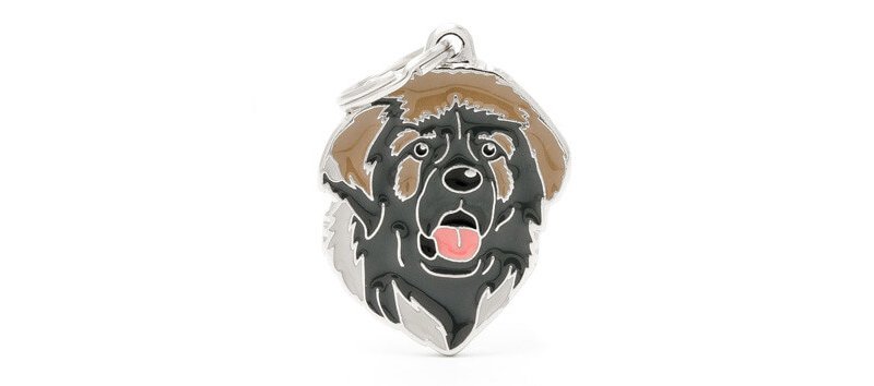 Medaglietta Cane Leonberger 2017