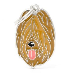 Medaglietta Cane Pastore della Brie 2017