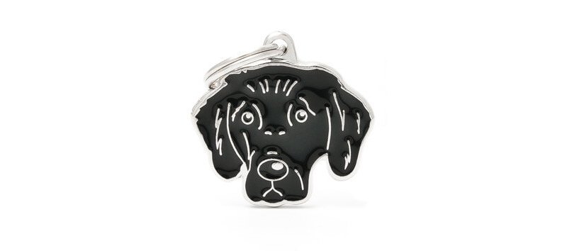 Medaglietta Cane Flat Coated Retriever 2017