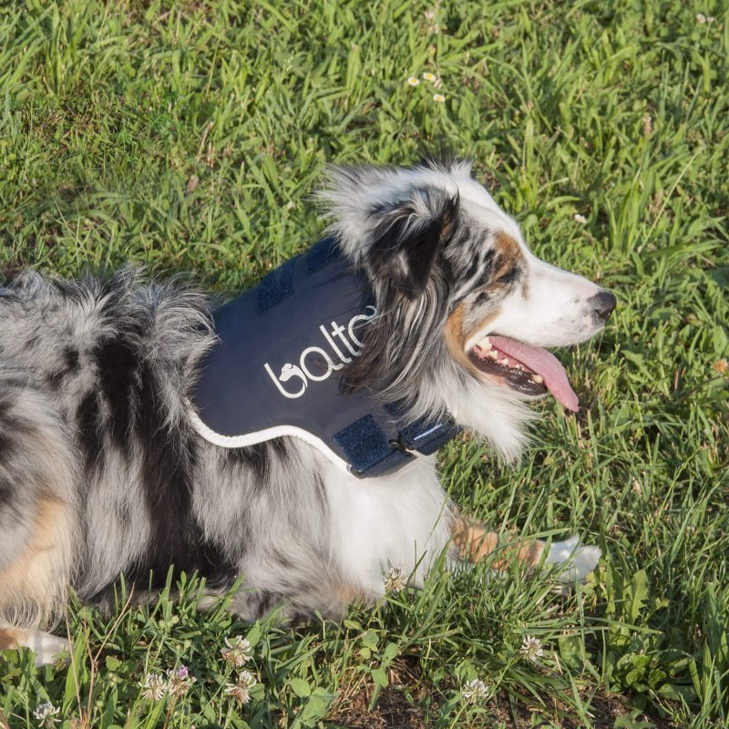 Balto BT NECK collare rigido ortopedico