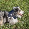 Balto BT NECK collare rigido ortopedico
