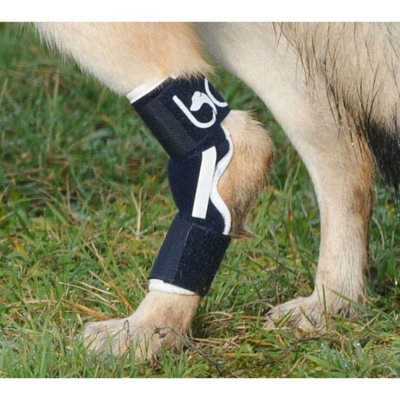 Balto BT HOCK tutore per garretto