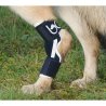 Balto BT HOCK tutore per garretto