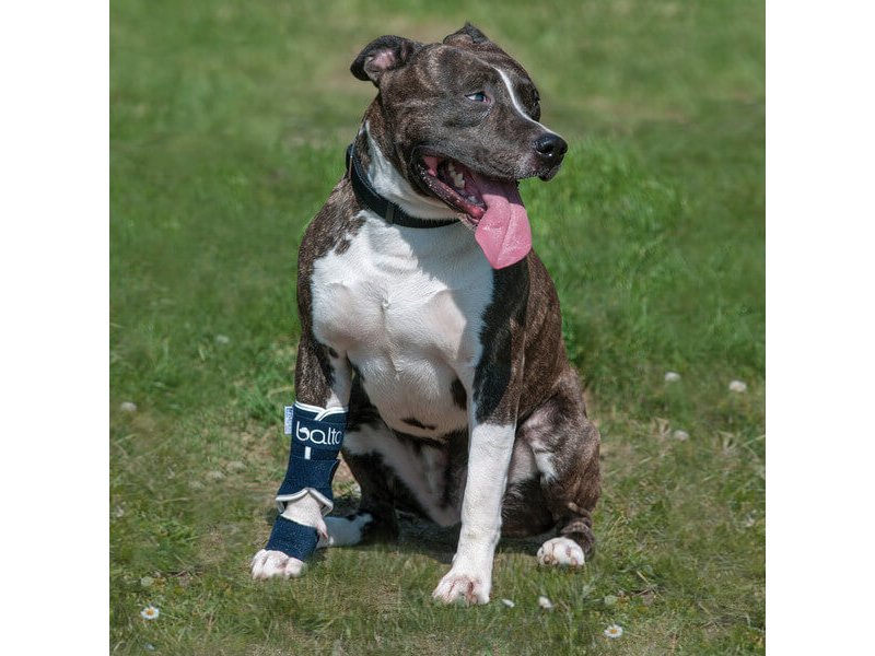 Balto BT SPLINT tutore per lassità di carpo o tarso