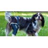 Balto BT JUMP tutore per ginocchio