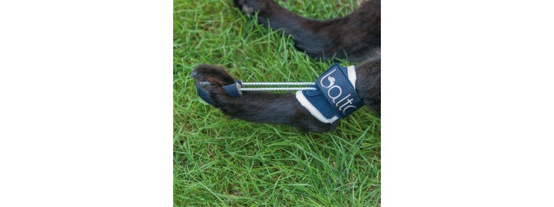 Balto BT PULL tutore per iperflessione delle falangi