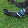 Balto BT PULL tutore per iperflessione delle falangi