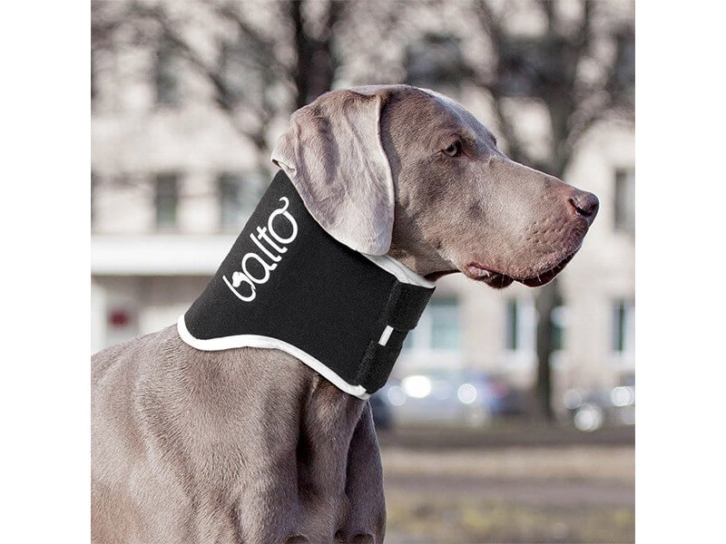 Balto BT Neck Eco collare anti-leccamento alternativa al collare elisabettiano