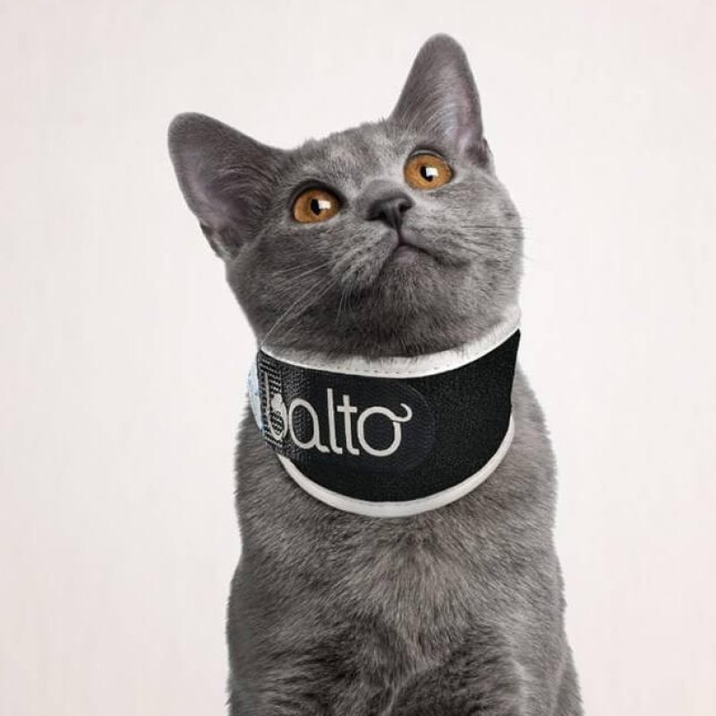 Balto BT Neck Eco collare anti-leccamento alternativa al collare elisabettiano