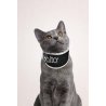 Balto BT Neck Eco collare anti-leccamento alternativa al collare elisabettiano