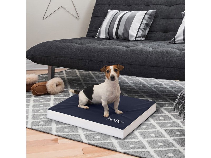 Balto BT NECK ECO collare anti-leccamento