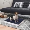 Balto BT NECK ECO collare anti-leccamento