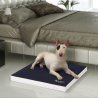 Balto BT NECK ECO collare anti-leccamento
