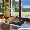 Balto BT NECK ECO collare anti-leccamento