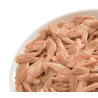 Life Cat Tonno 70g umido gatto