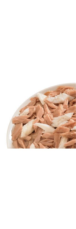 Life Cat Tonno e Pesce Bianco 70g umido gatto