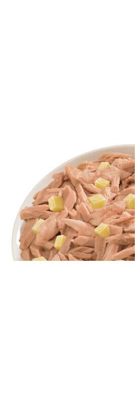 Life Cat Tonno e Formaggio 70g umido gatto