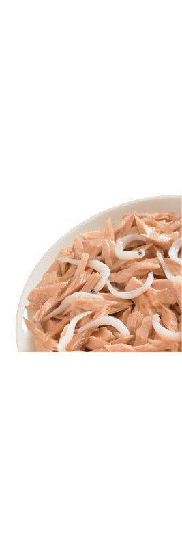Life Cat Salmone e Pollo 70g umido gatto