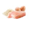 Life Cat Kitten 150g umido gatto