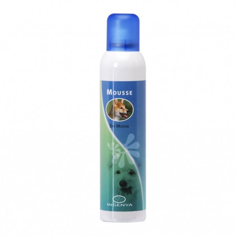 Ingenya Shampoo mousse