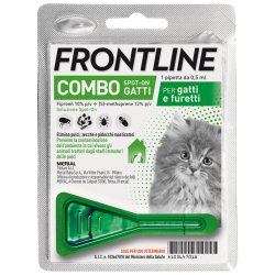 Frontline Combo Gatti e Gattini 1 pipetta