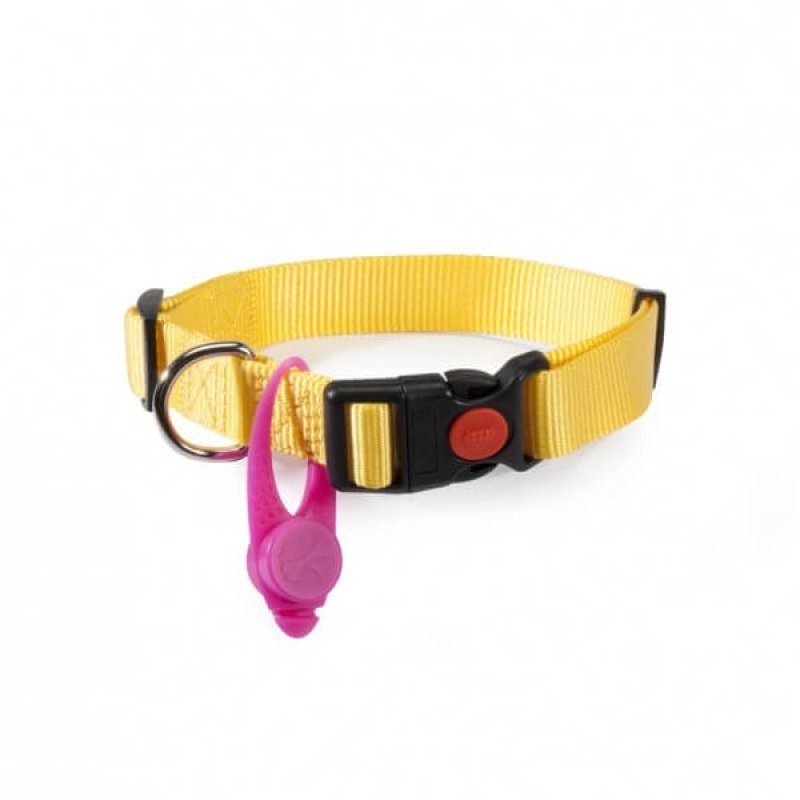 Camon Ciondolo Luminoso per cani