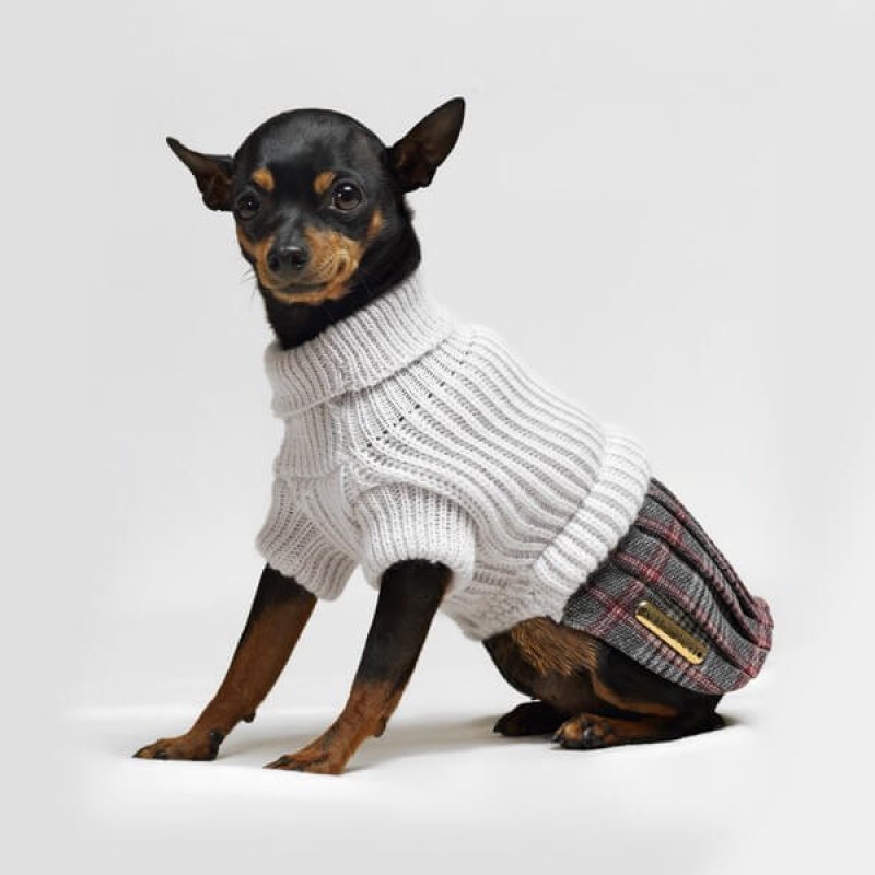 Dog Line Abitino Pepper per cane