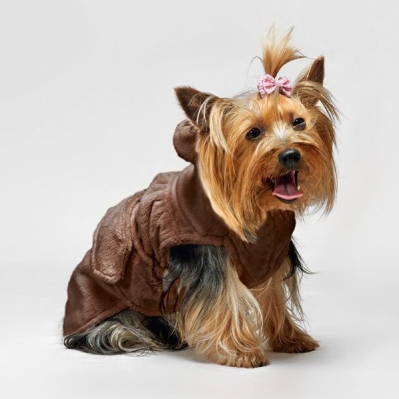 Dog Line Cappottino Monique per cane