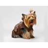 Dog Line Cappottino Monique per cane