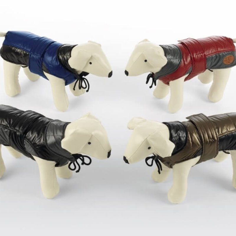 Dog Line Imbottito Hermagor