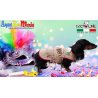Dog Line Gilet Indiano per cane