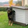 Ferplast DogVilla cuccia per cani in resina