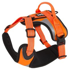Hurtta Pettorina Dazzle COLORE ARANCIONE